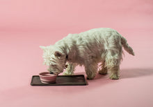 Indlæs billede til gallerivisning Sammenfoldelig hundeskål fra Hevea i Old Rose farve. Bæredygtig og designet i Danmark

